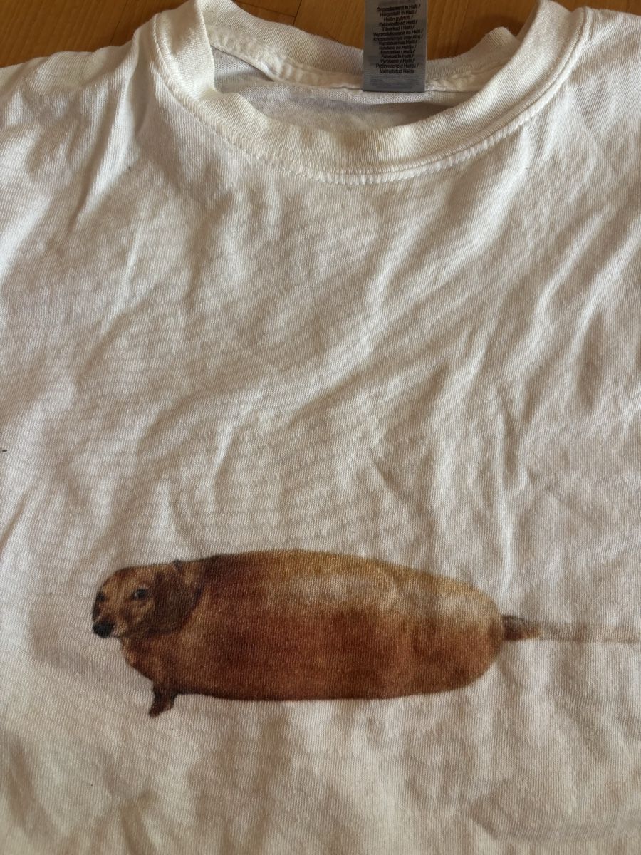 T-shirt: Corn Dog T Shirt – Usato da Chexbres venduto da doe_xns6 1