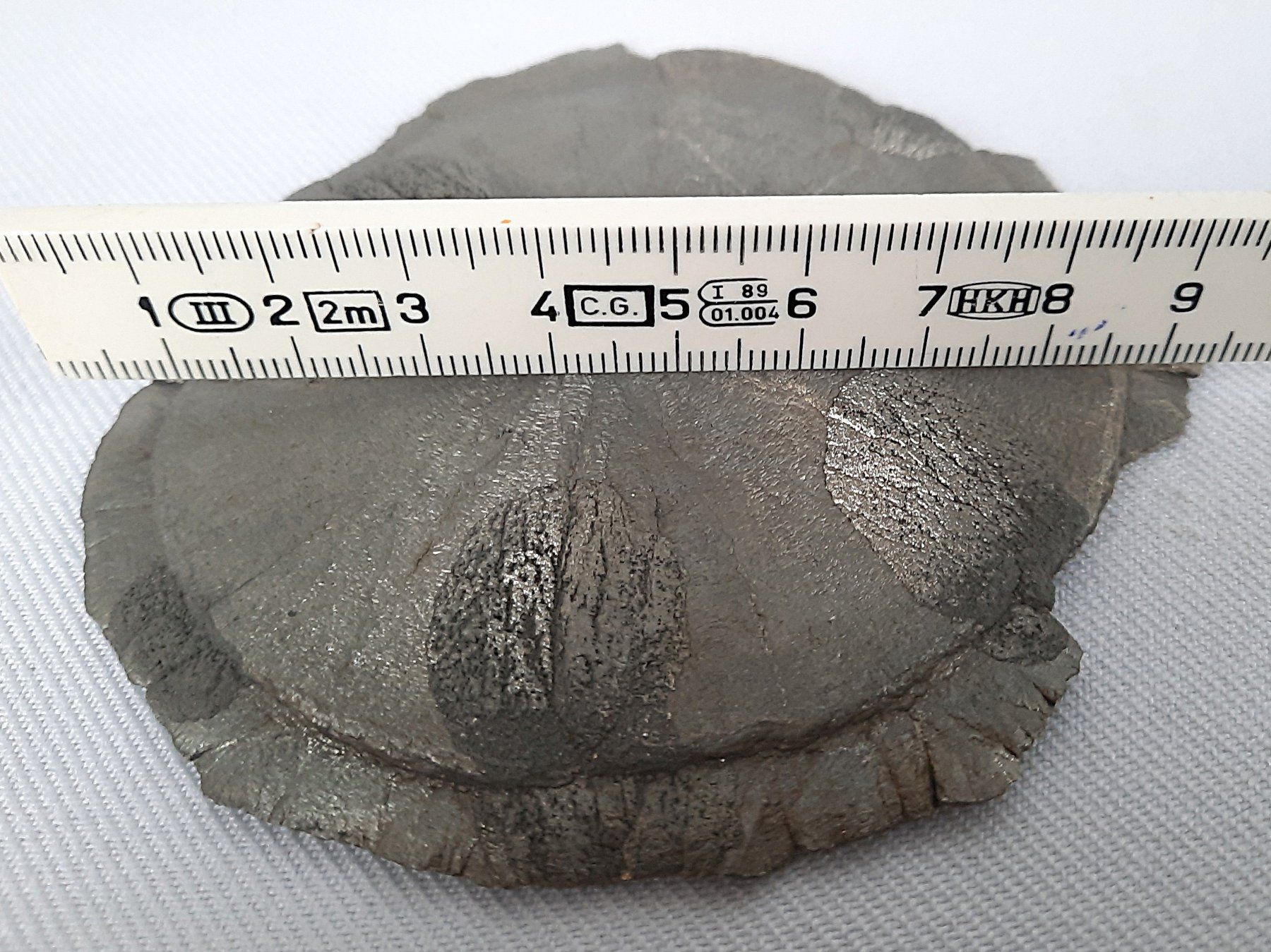 Mineralien & Heilsteine: Pyrit- Sonne – Gebraucht aus Beinwil am See von Restwert_Beinwil 5