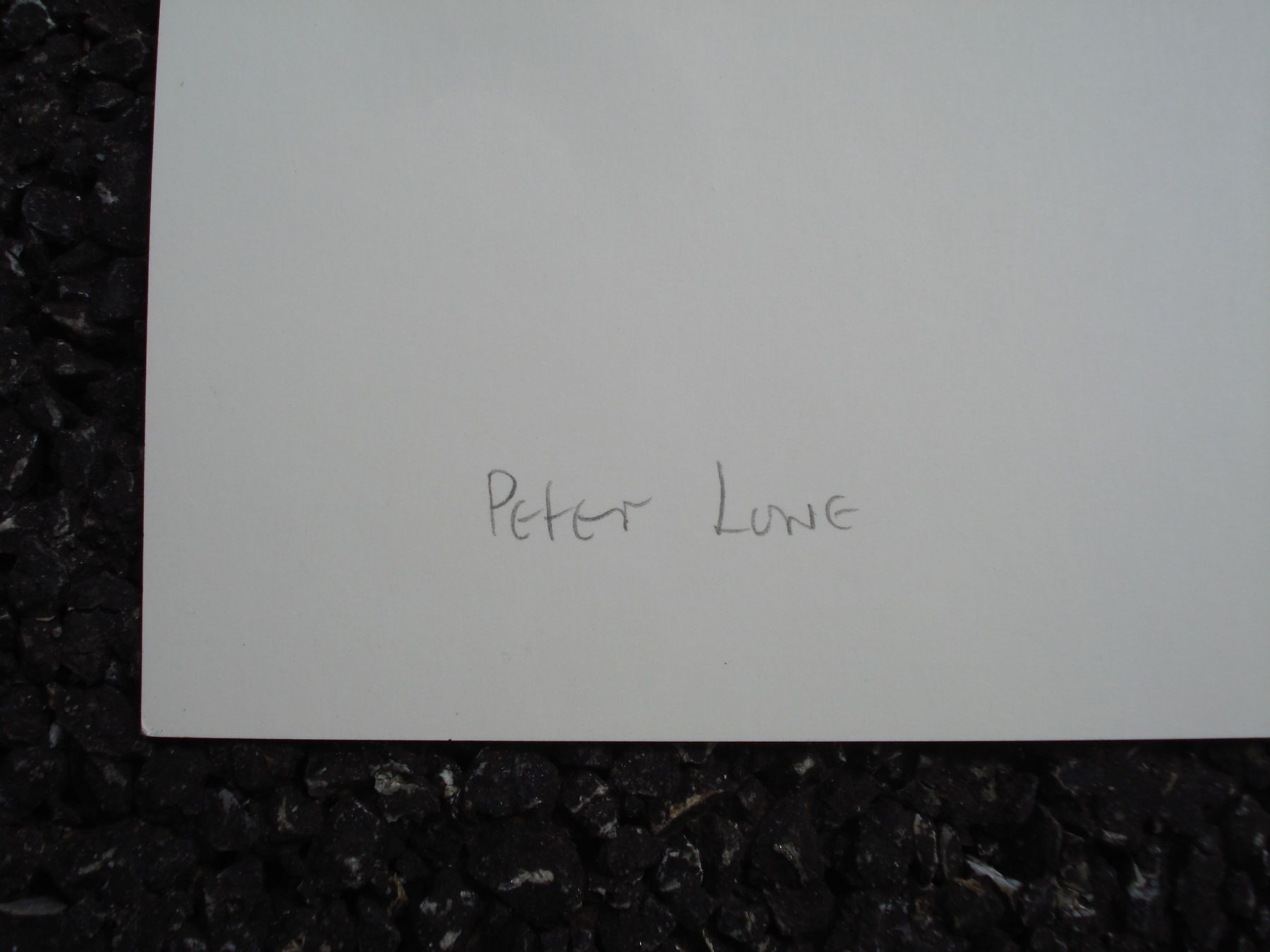 Grafica & Litografie: Peter Lowe geb. 1938 – Usato da Basel venduto da art.basel 2