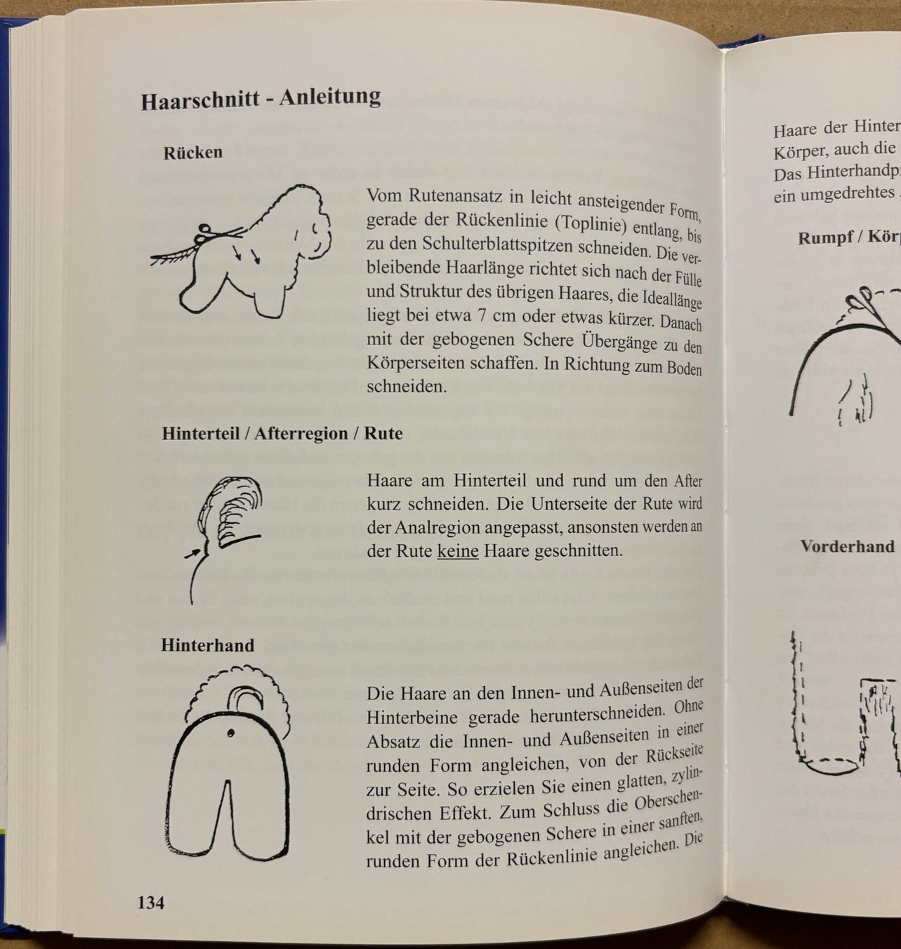 Libri: Sausen Monika, Bichon Frisé – Nuovo (secondo la descrizione) da Sarnen venduto da Livres 7