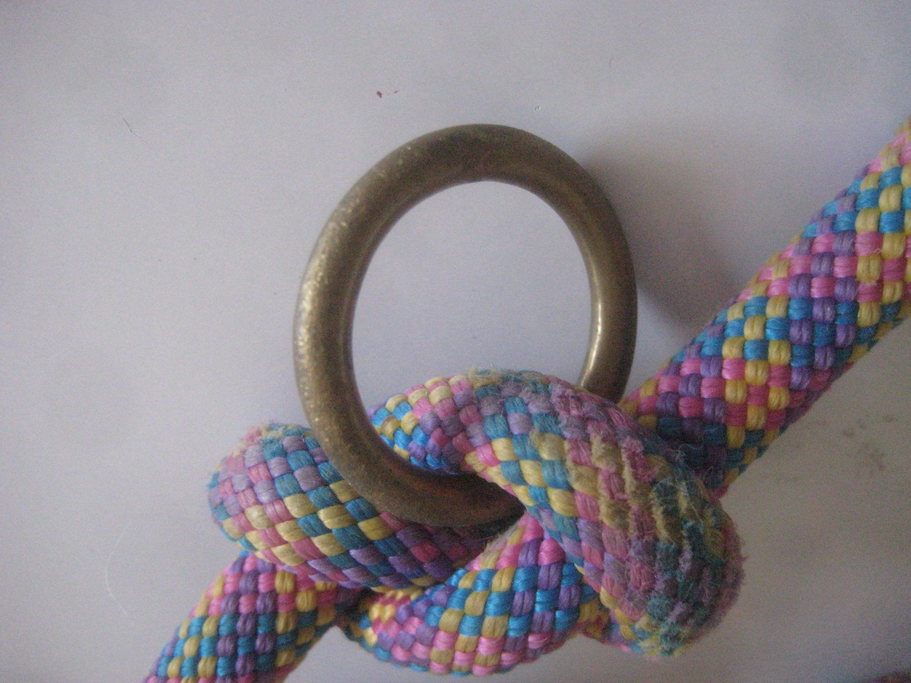Leine & Halsband: HUNDE  LEINE – Gebraucht aus Uster von flocke1 3
