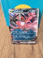 Yveltal EX 053/088 / Near Mint 