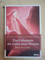 Das Geheimnis der ersten neun Monate, Reise ins Leben