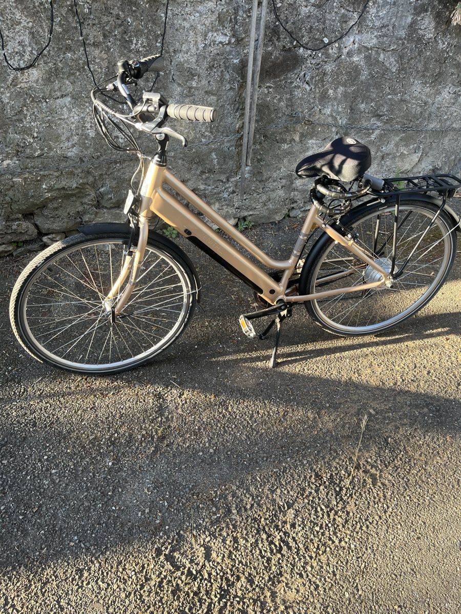 Zenith Bikes Biciclette: E-Bike 2 jährig – Usato da Toffen venduto da slo_5j7d