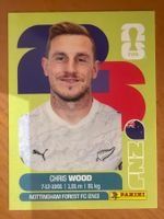 Panini Sticker FIFA WM 2120 Chris Wood NZL17