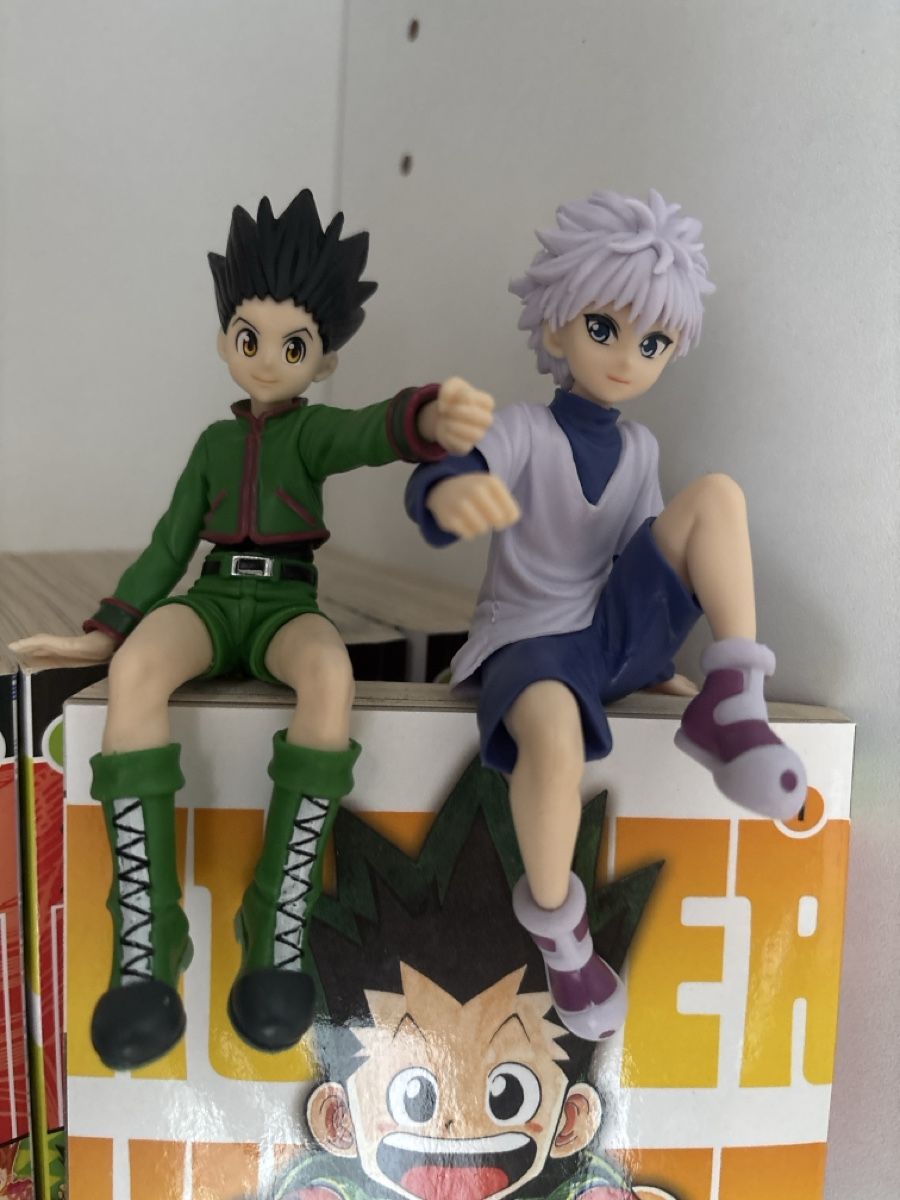 Figuren: Hunter x Hunter Gon & Killua Figuren Set – Neu (gemäss Beschreibung) aus Interlaken von alb_jc9t