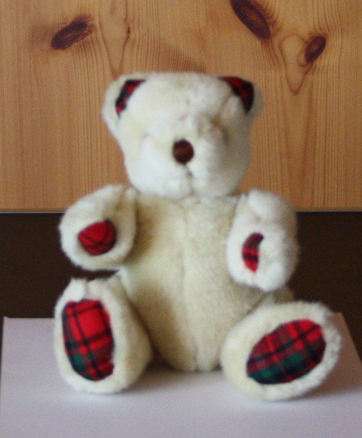 Giocattoli: Teddybär Bär  Gliedmassen beweglich – Usato da Flüelen venduto da Diversicum-Shop 1