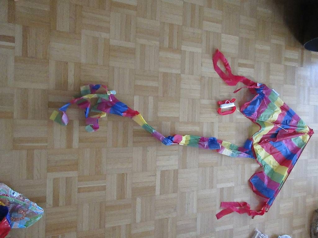 Giocattoli: Neuwertiger Kinderdrachen mit Regenbogen Farben – Usato da Zug venduto da roche72