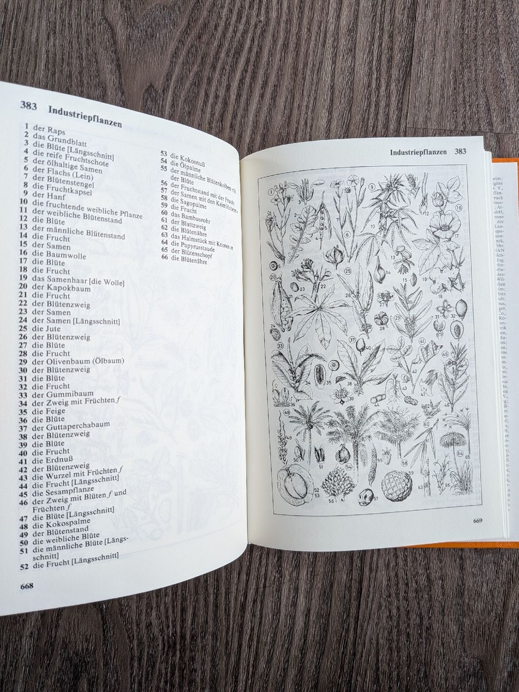 Bücher: Duden Bildwörterbuch 3, gebraucht – Gebraucht aus Thalwil von moving_sell_26 2