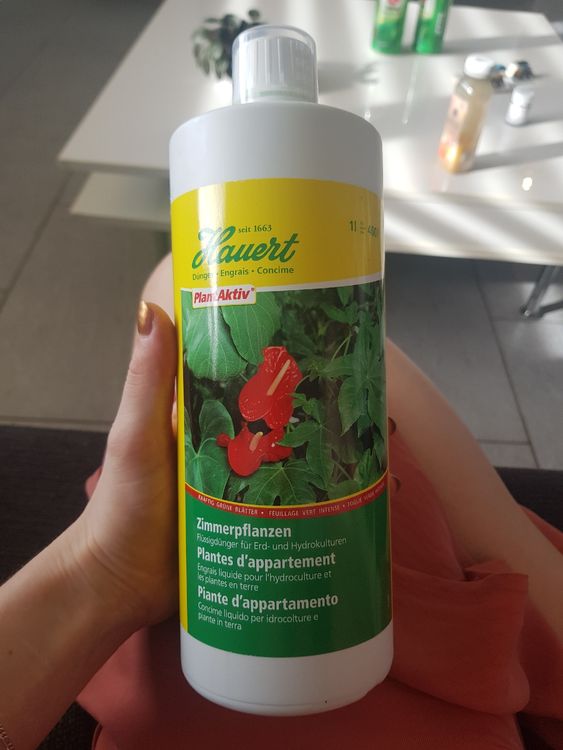 Flüssigdünger für Zimmerpflanzen Kaufen auf Ricardo