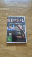 Crazy, Stupid, Love - DVD