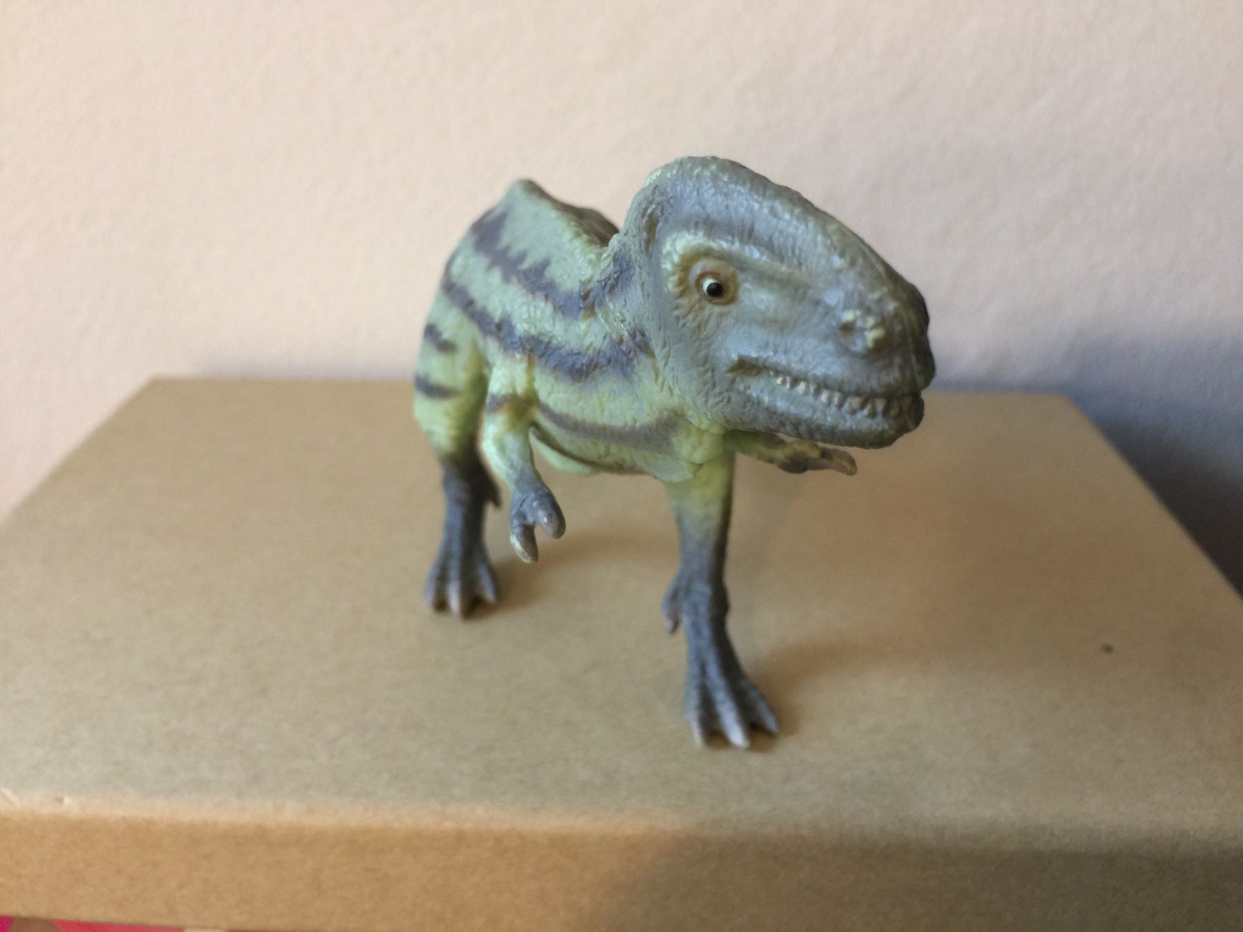 Schleich Statuette: Schleich Albertosaurus 16443 Dinosaurier – Usato da Ennetbaden venduto da mapa05 5