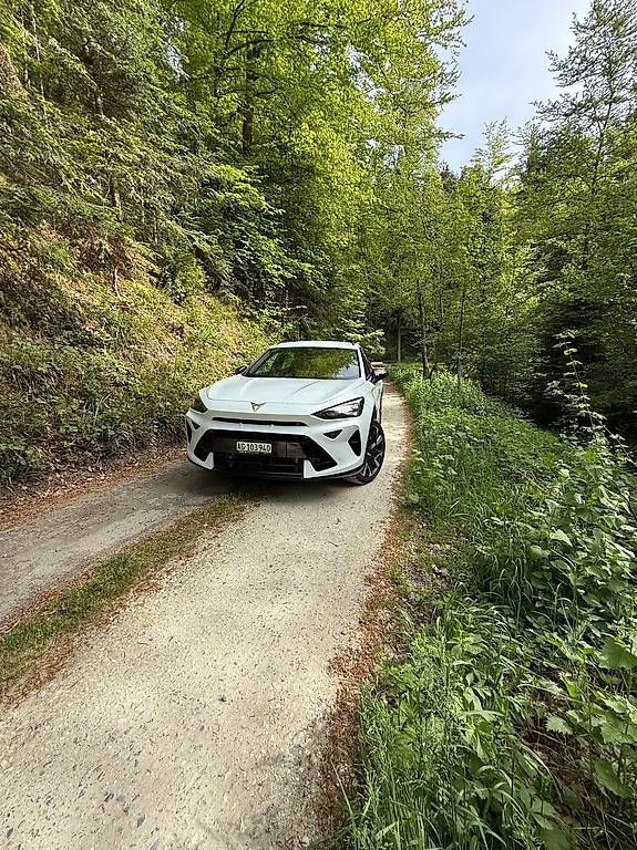 Automobili: Cupra Formentor 2.0TSI VZ – Usato da Beinwil am See venduto da alo_58nm 2