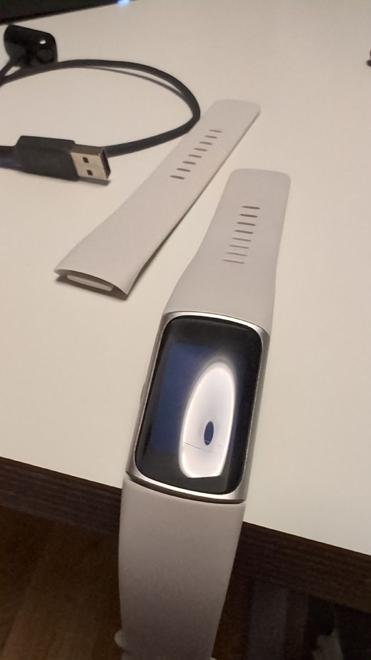Fitbit Smartwatch: Fitbit Charge 6 mit magnetischem Armband – Gebraucht aus Wallisellen von ali_x62p 1