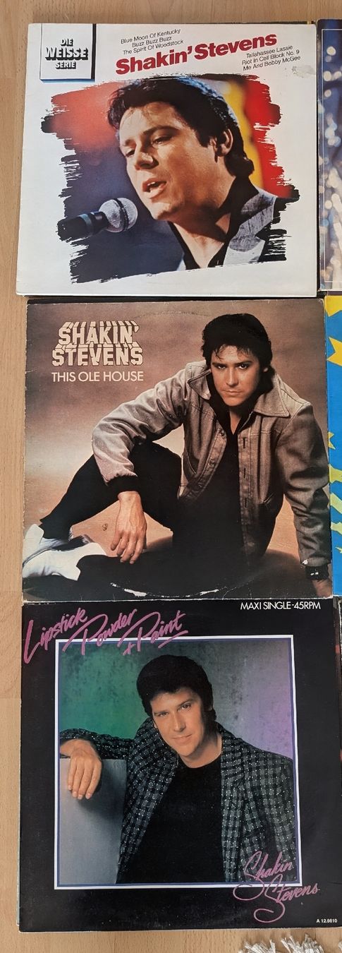 Dischi in vinile: Rock n Roll+ Pop Sammlung 28 LPs – Usato da Sarmenstorf venduto da bw68 8