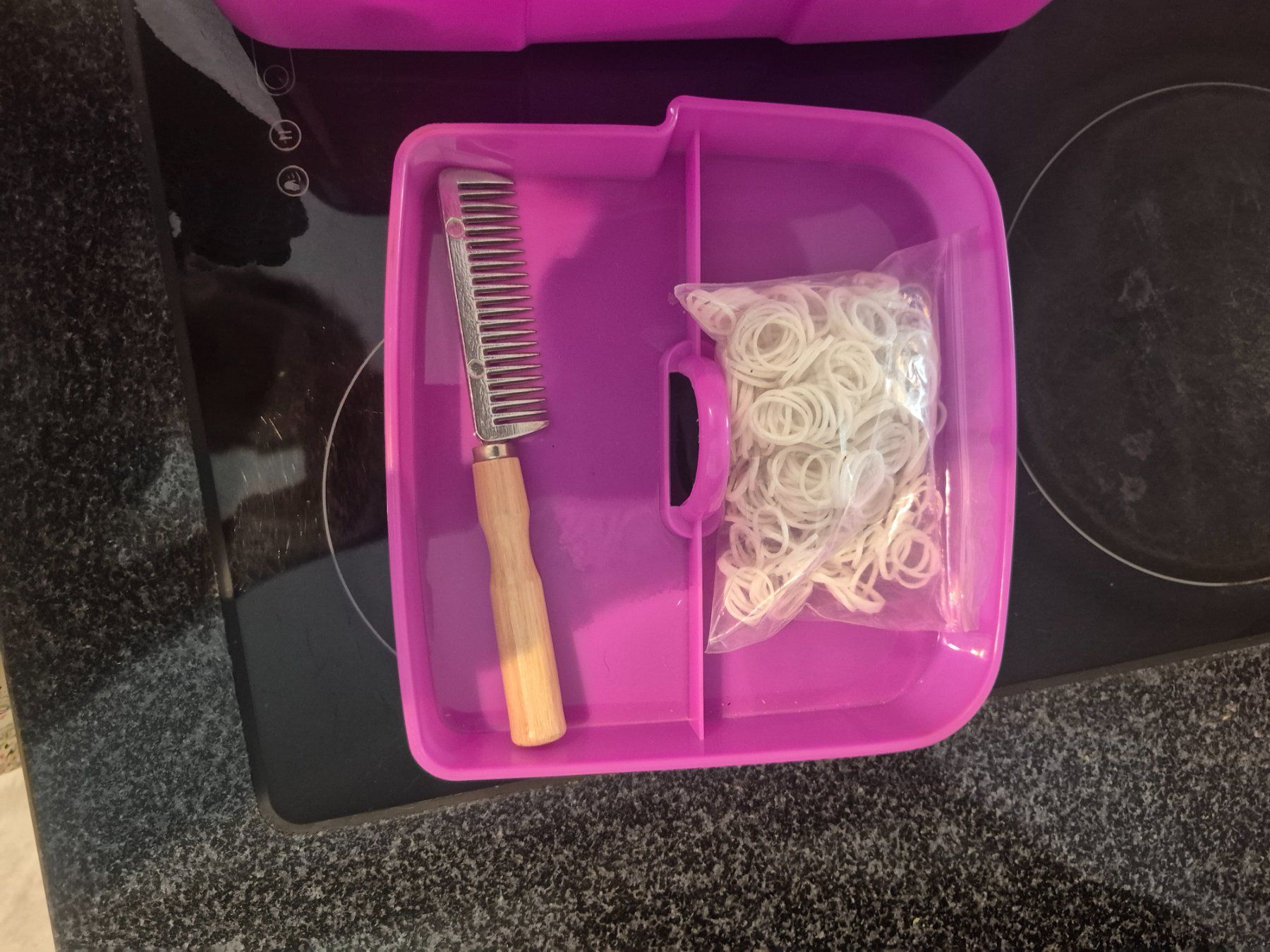 Prodotti per la cura & Articoli per la pulizia: Pferde Putzbox NEU – Usato da winterthur venduto da goldfischt 1