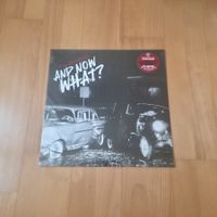 Peacocks – And Now What? LP Splatter Vinyl NEU
