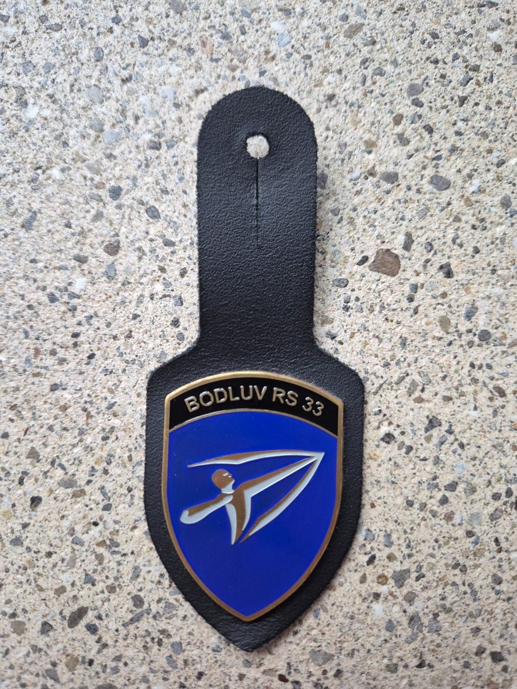 Schweizer Armee Placchette & Badge: *** Brustanhänger Bodluv RS 33 *** – Nuovo e nell'imballaggio originale da Riedholz venduto da fr_sIruP