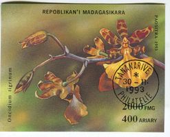 Block "Orchideen". Madagaskar