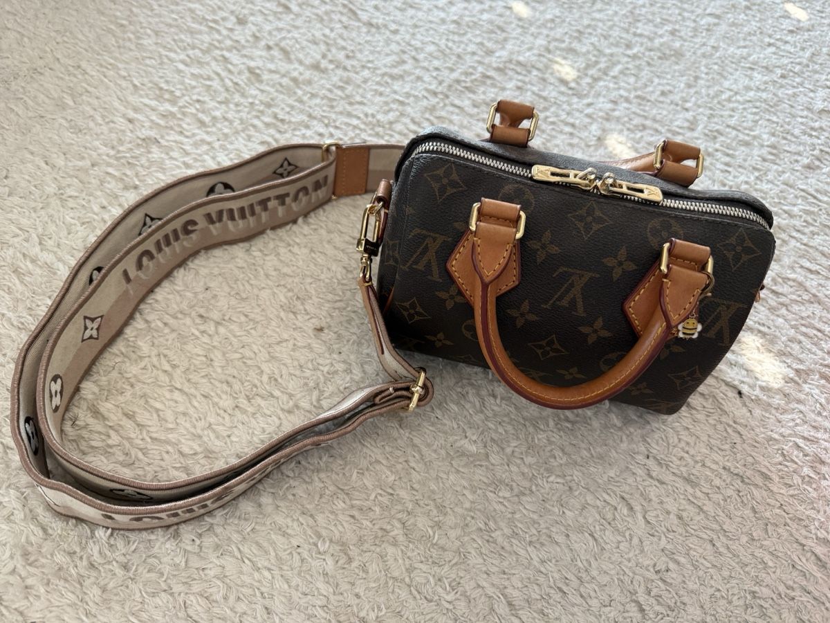 Louis Vuitton Borse da donna: Louis Vuitton Speedy 20 Tasche  – Usato da Basel venduto da man_nx6q