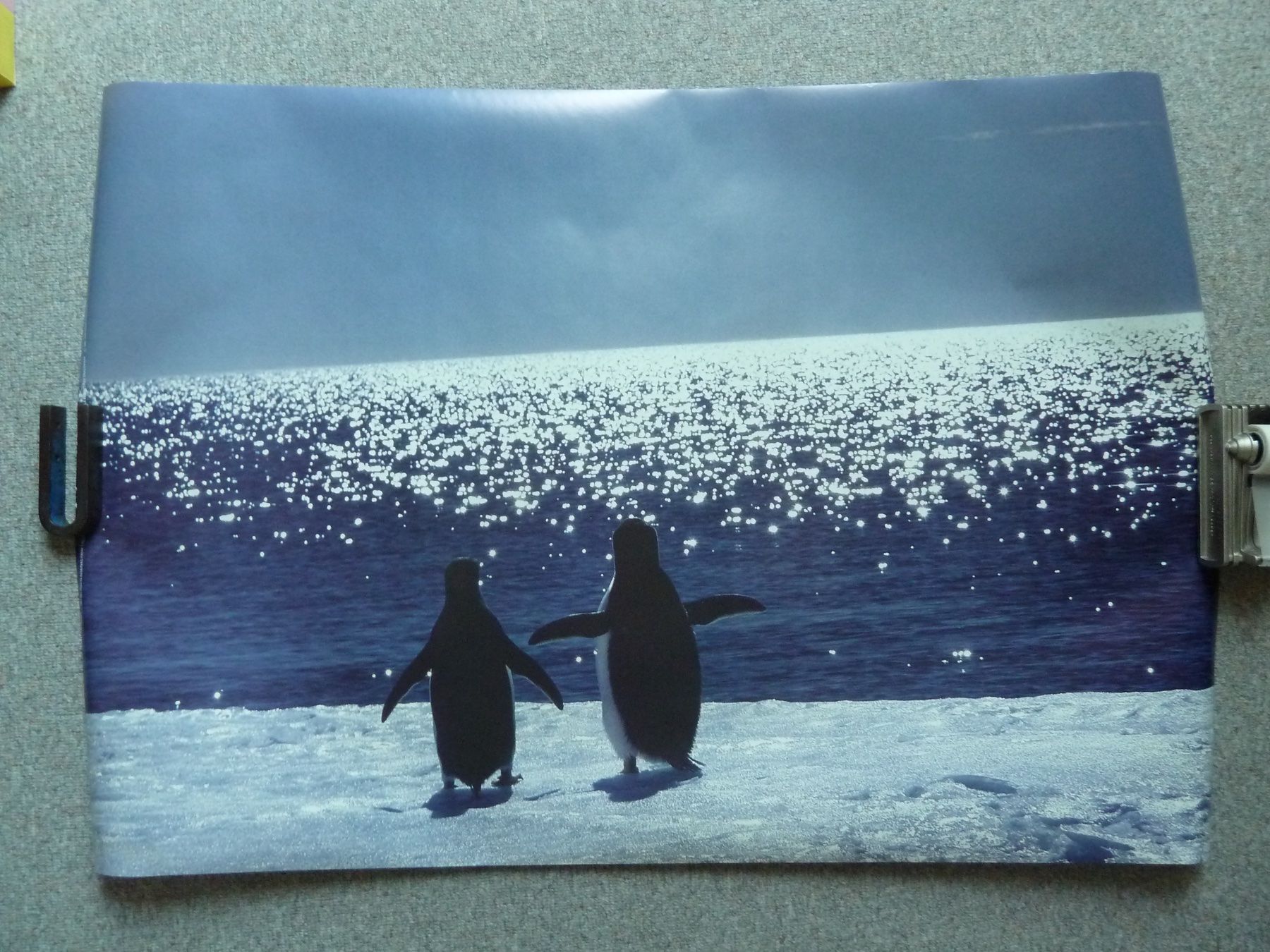 Spielzeuge: Pinguin Sammlung – Neu (gemäss Beschreibung) aus Herzogenbuchsee von seeleopard 8