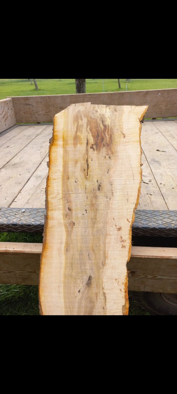 Holzartikel: Apfelbaum Bretter – Gebraucht aus Hohenrain von Forstwart1997 2