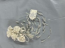 Elegantes Braut-Haarband mit Perlen und Seidenblüten