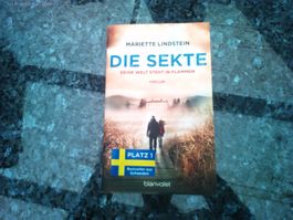 Die Sekte - Deine Welt steht in Flammen