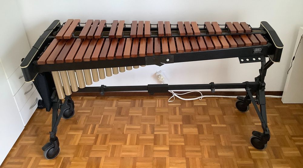 Xilofono 8 Note Per Bambini - Con Bacchette E Custodia, Colorato - Foto 5