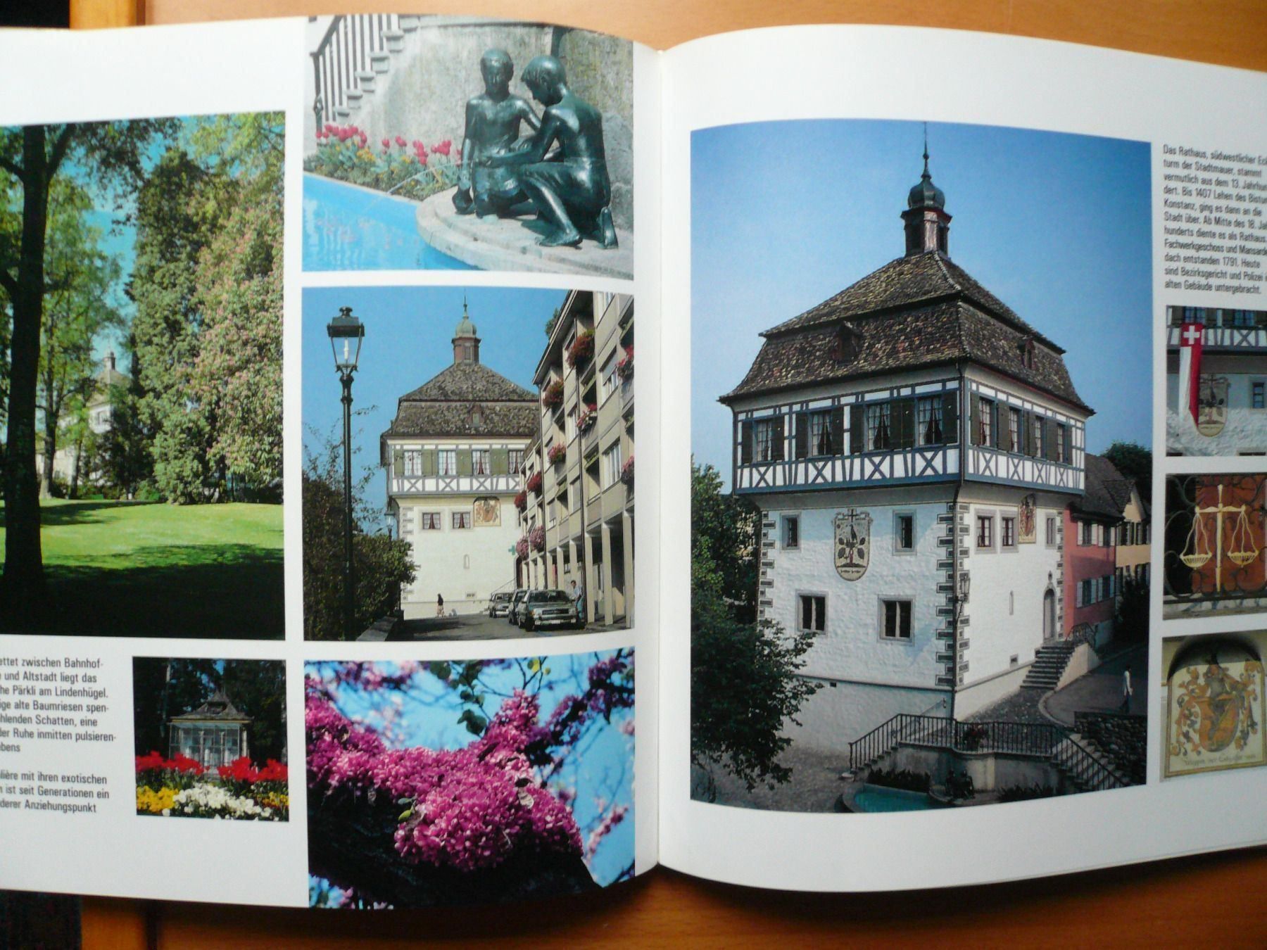Libri: Thurgau - Chronik von Arbon am Bodensee – Nuovo (secondo la descrizione) da Brunnadern venduto da lesezirkel 3