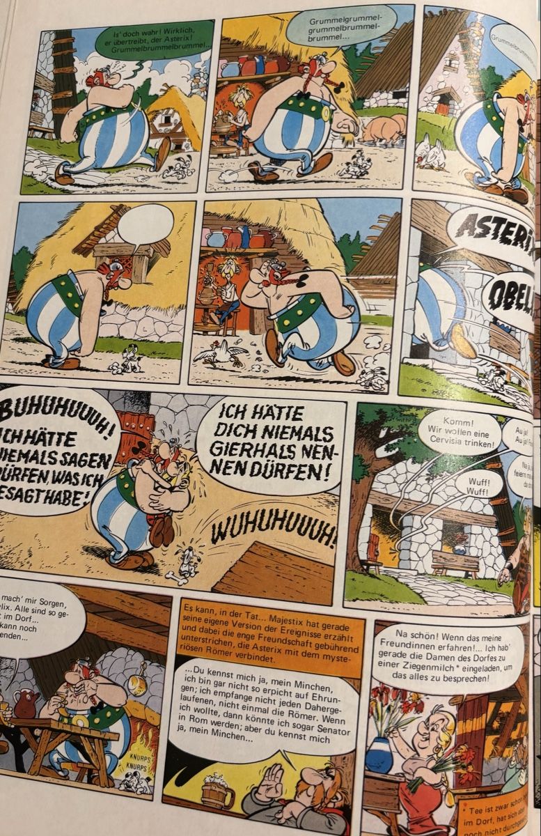 Fumetti: Streit um Asterix - in Deutsch – Usato da Thalwil venduto da Sterla 1