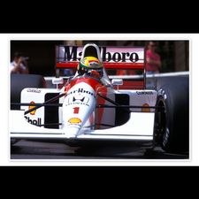 Profile image of Senna14
