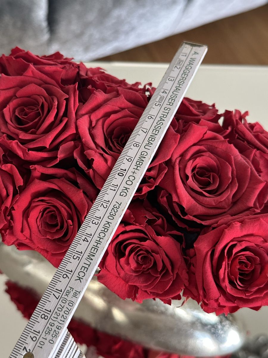 Tutte le decorazioni: Echte konserviere Rosen in einer edlen Metallschale – Usato da Zürich venduto da von_7vbl 4