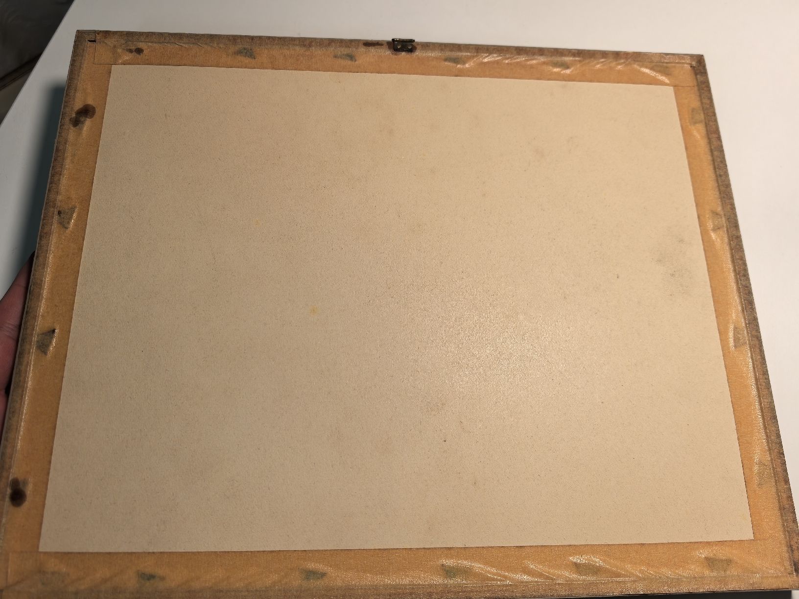 Grafica & Litografie: Alte gerahmte Vogelbild-Lithographie mit Goldrahmen. – Usato da Bassersdorf venduto da Sport_4_life 5