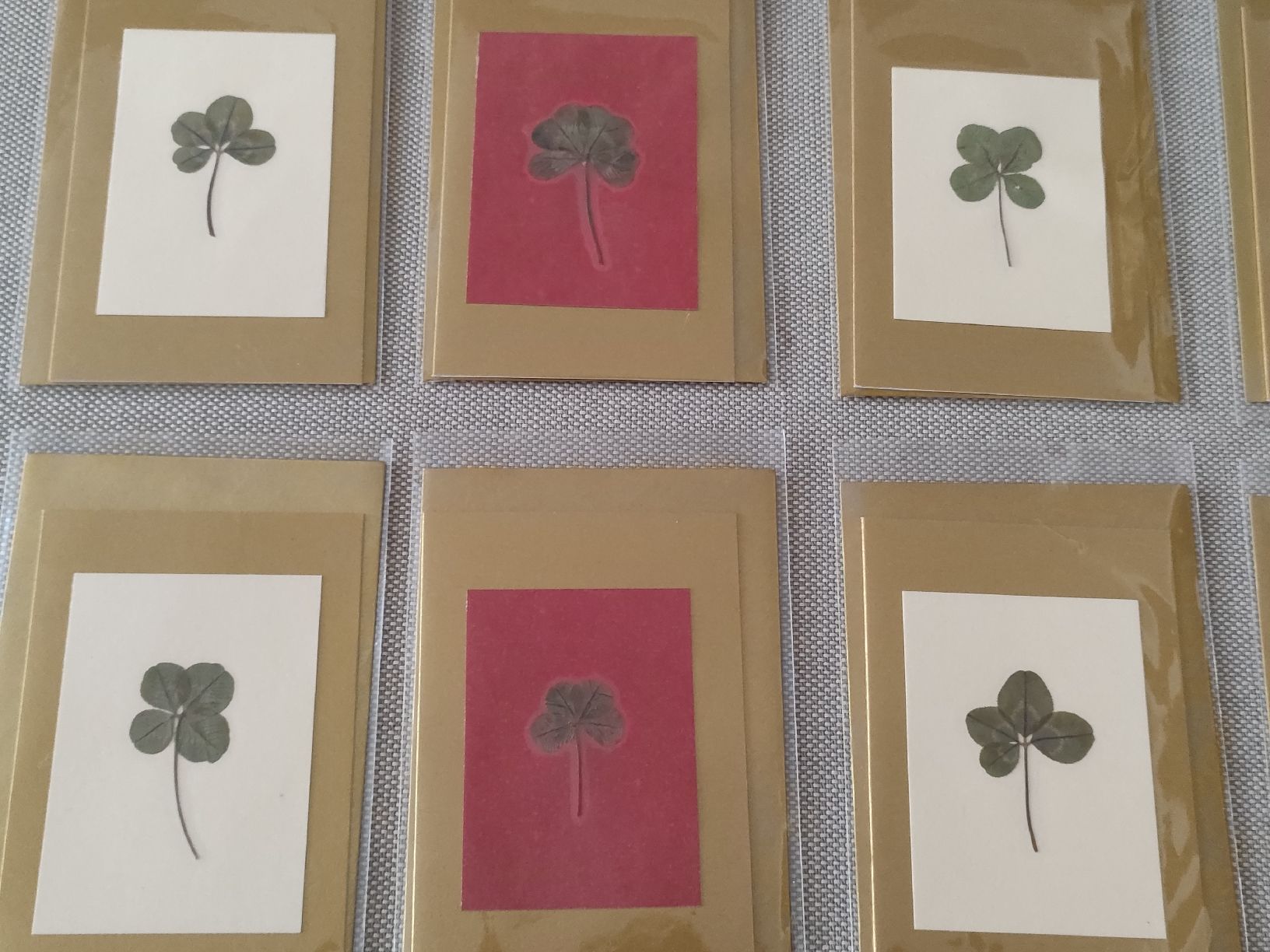 Cartoline: 8 Mini Karten mit echt Klee – Nuovo e nell'imballaggio originale da Bern venduto da Lidia.5 1