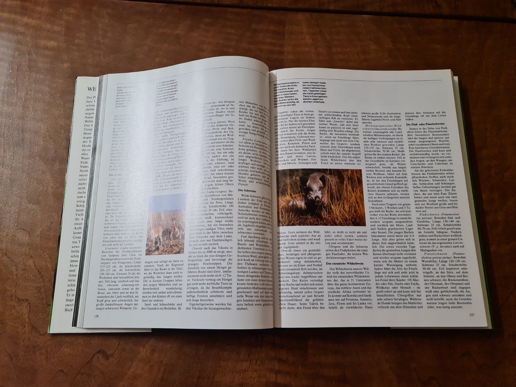 Libri: Weltreich der Tiere – Usato da Erstfeld venduto da Uhu1980 2