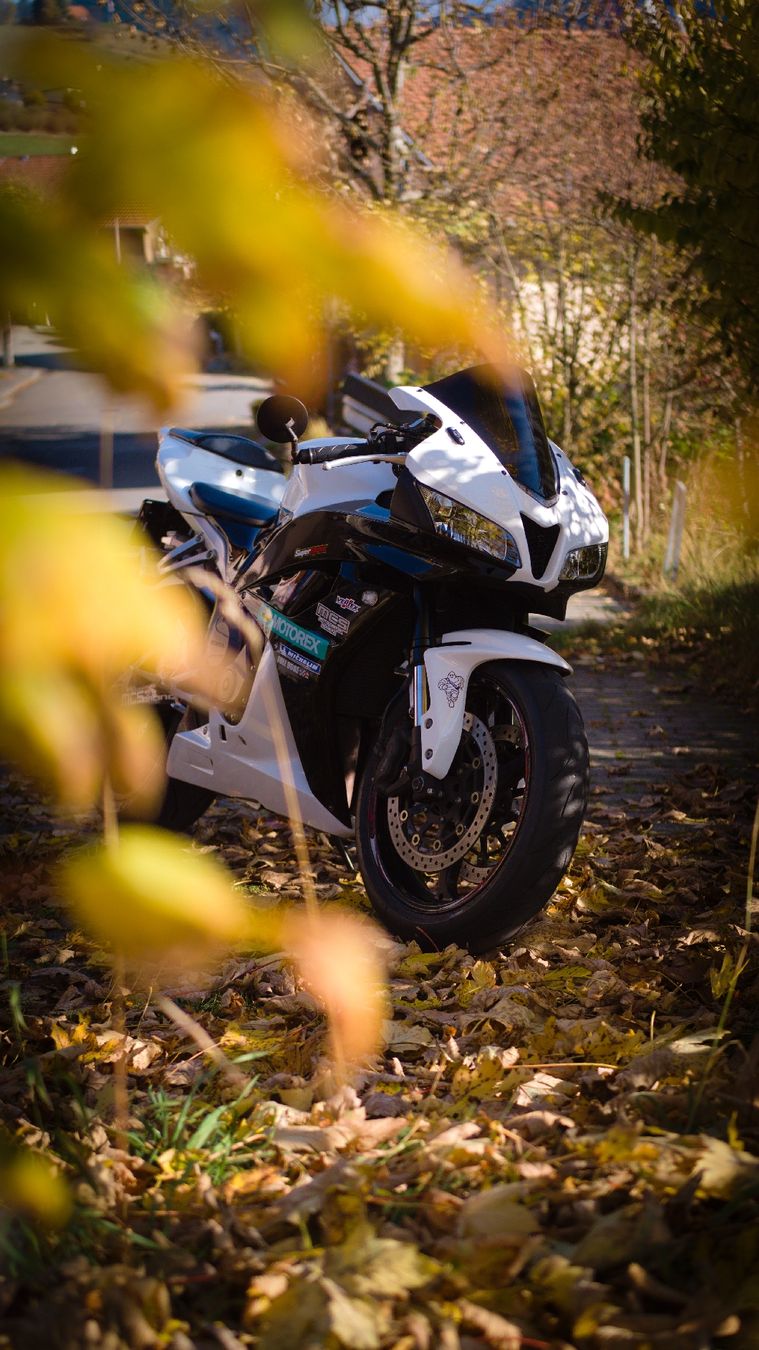 Honda Strasse: Honda cbr600rr – Gebraucht aus Goldiwil (Thun) von sil_q7dc 4