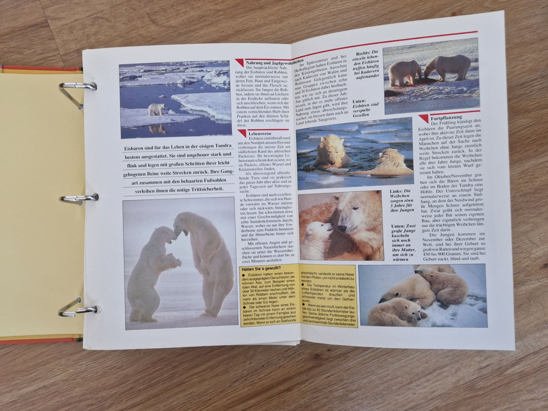 Libri: Faszination Tier & Natur – Usato da Lotzwil venduto da DonGavallo 6
