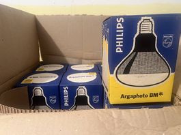 Philips Argaphoto BM 220v 500w, NEU 8Stück
