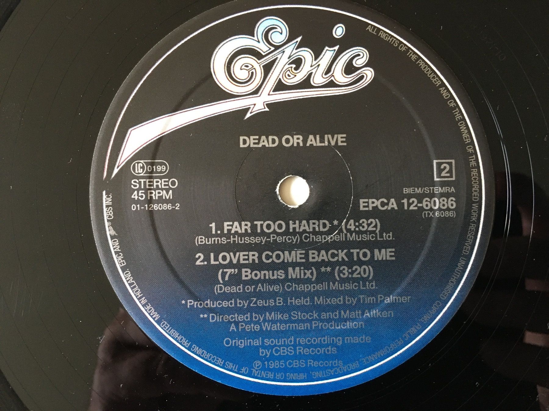 Dischi in vinile: Maxi Single Vinyl: Dead or Alive, 45 RPM – Usato da holziken venduto da Weston 5
