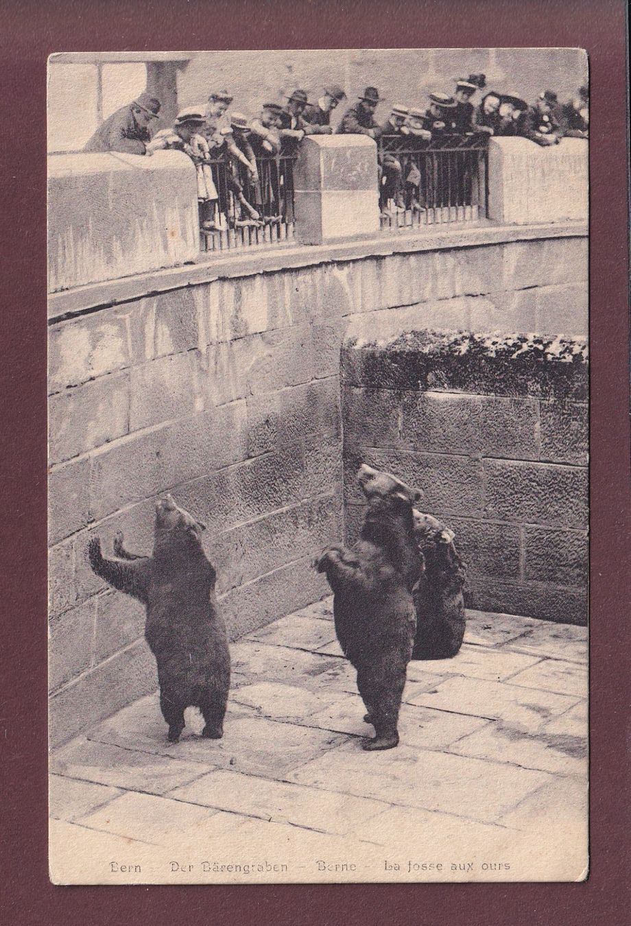 Cartoline postali: BERN - Bärengraben – Usato da Pully venduto da nicecards