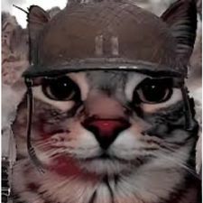 Profile image of qui_gmd6