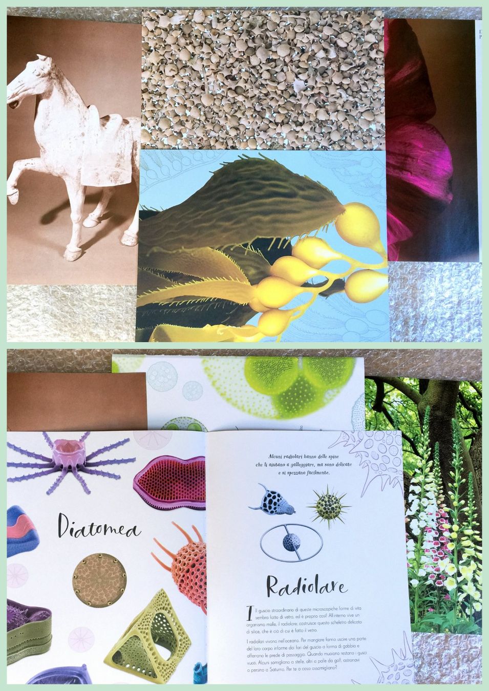 Libri: ephemera 8/papier collage bastelpapier scrapbooking +Versand – Usato da Pully venduto da websurfer1 5