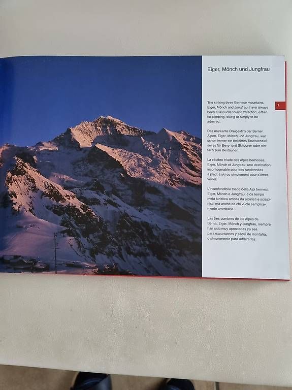 Libri: Buch Switzerland – Usato da Triengen venduto da hap_5f5y 3