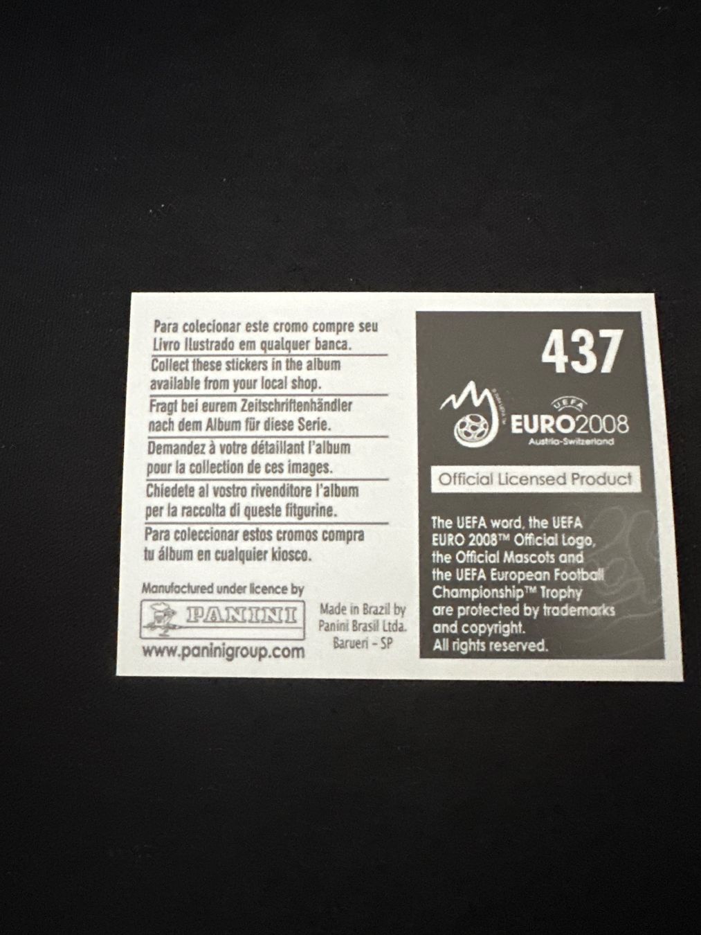 Panini Carte collezionabili: Panini UEFA EM 2008 Sticker - Nr. 437 – Usato da Sulz AG venduto da DealWerk 1