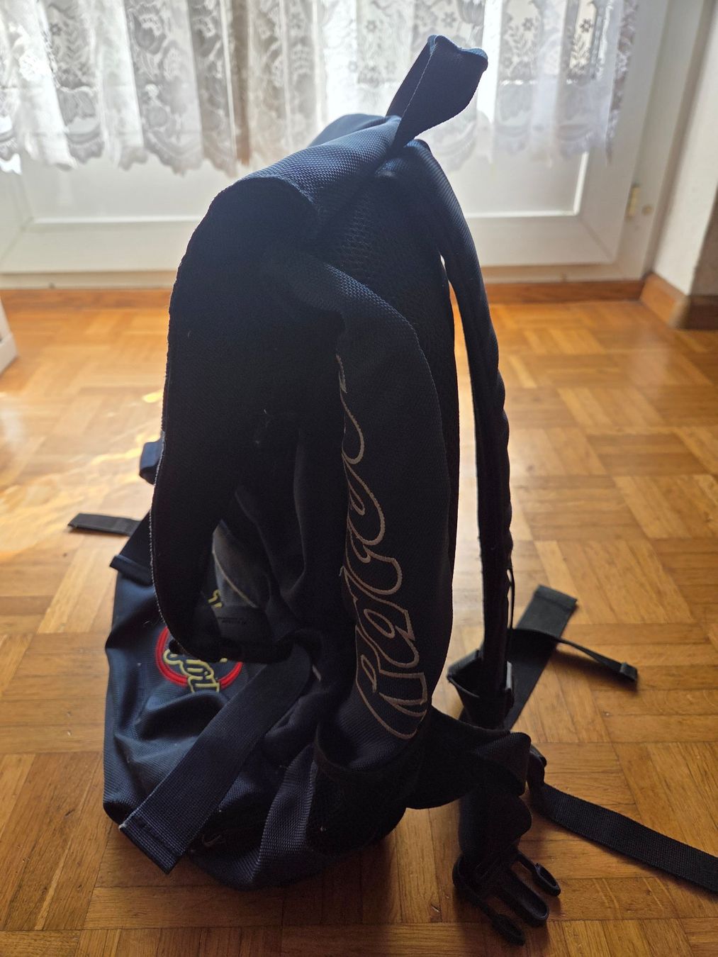 Racoon Zaini: Racoon Schulrucksack – Usato da Basel venduto da grandfamily 1
