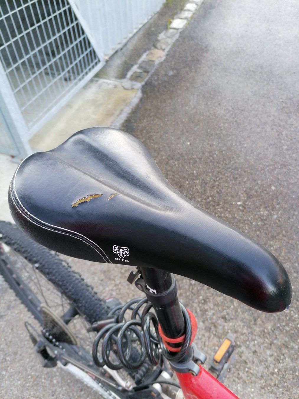 Specialized Biciclette: Mountainbike – Usato da Englisberg venduto da senta67 1