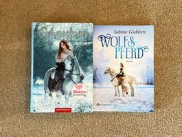 2 Jugendbücher, Thema Pferde, ab 12 Jahren