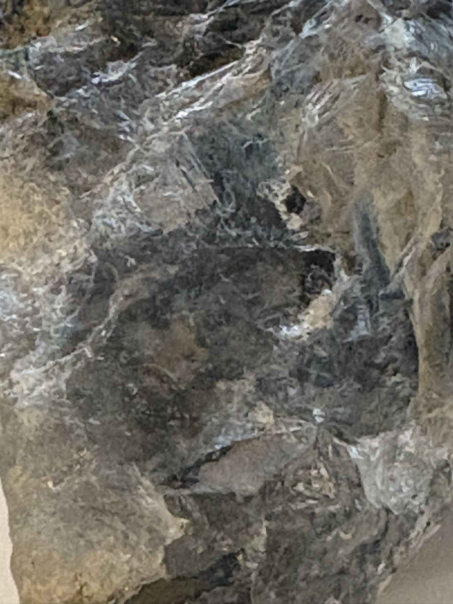 Minerali & Pietre curative: Quartz-Kristal mit katzengolg /wallis – Usato da Murten venduto da Tzaugg 1