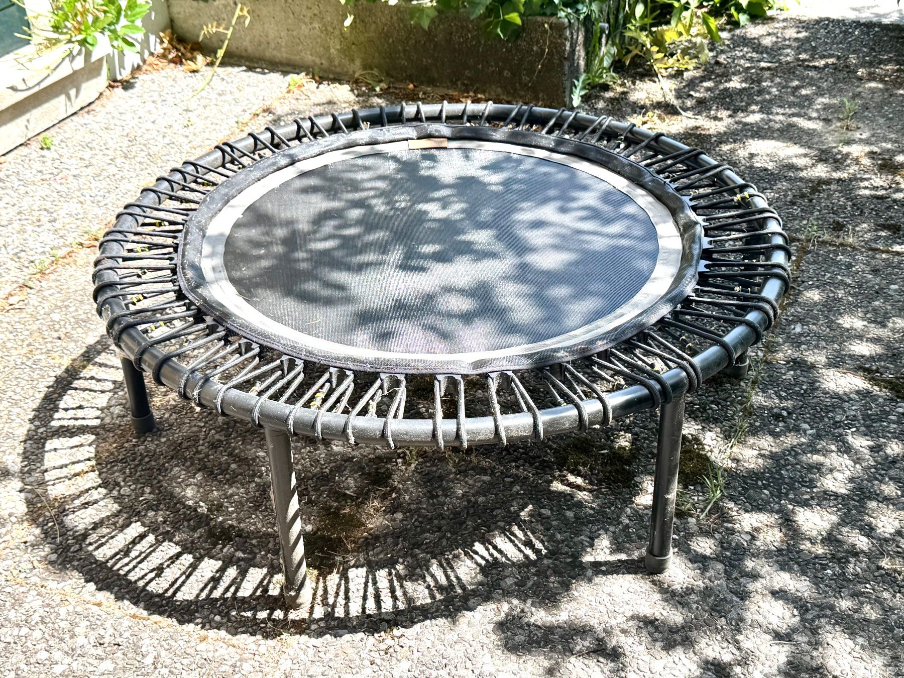Bellicon Trampoline: Mini Trampolin – Gebraucht aus Bern von Tickendeuhr